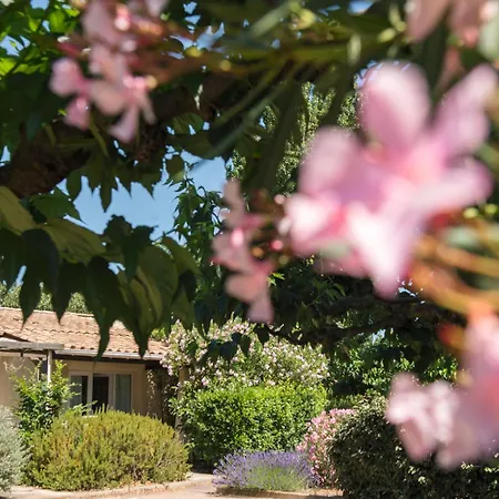 Sowell Family Cap D'agde 4* 阿格德